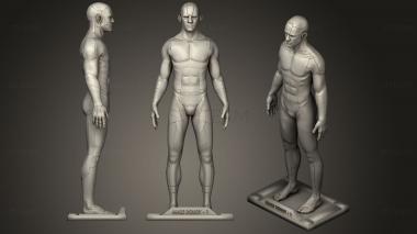 3D model Male Robot 01 (STL)